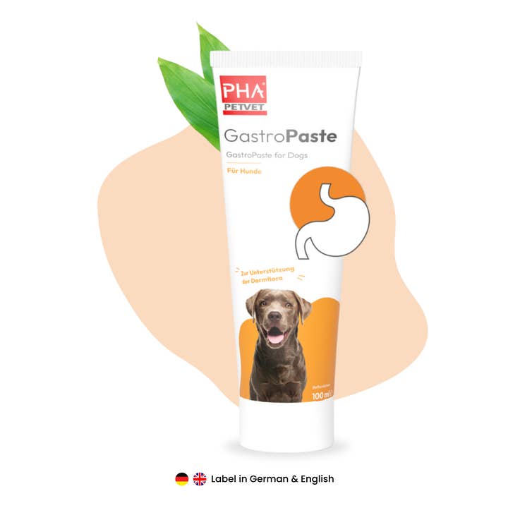 Kauartikel.com GmbH - Wholesale Pet Supplement - Dog - PHA gastropaste for dogs 100ml (5 pieces)