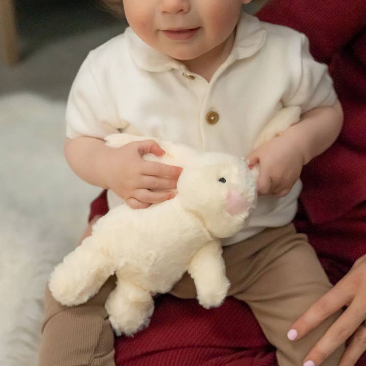 Ziggle Baby - Wholesale Stuffed/Plush Toy - Kids & Baby - Cream Bunny Plush Toy2