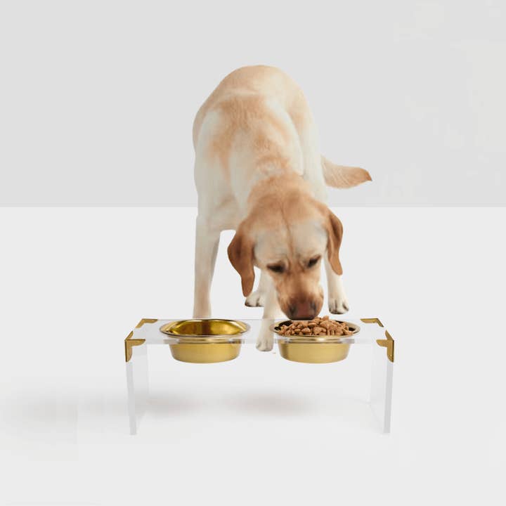 Campaign Corners Gold Feeder for wholesale by Hiddin