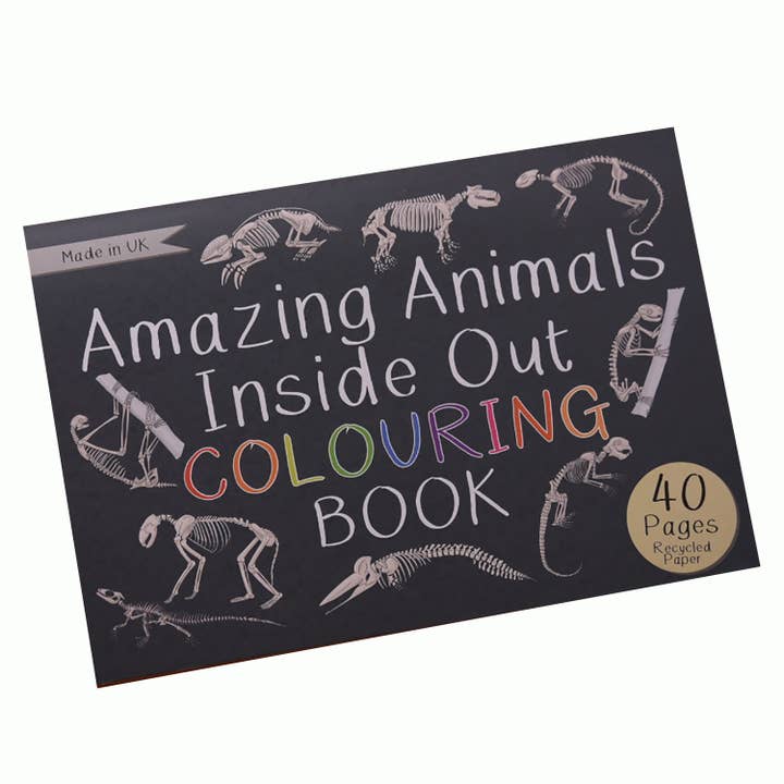 Button & Squirt – wholesale Colouring and activity book – kids and baby – Amazing Animals Inside Out Colouring Book3