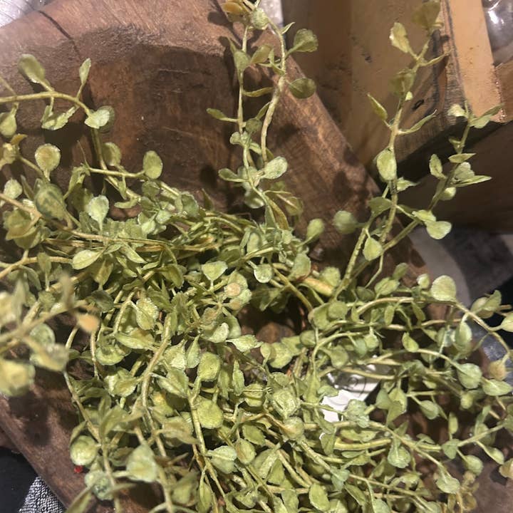 Couronne de bougie « Herbe de bébé », 9 po, vert clair pour la vente par Colonial House Primitives