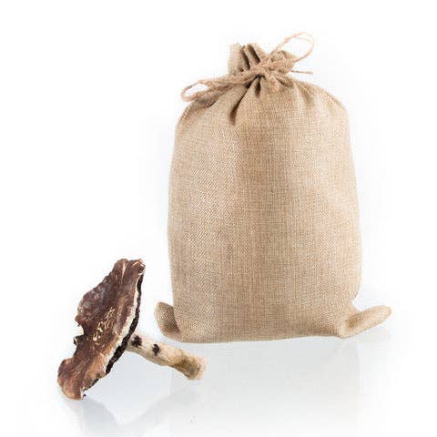 Garden Giants Mushroom Grow Kit - Outdoor for wholesale by MushBarn