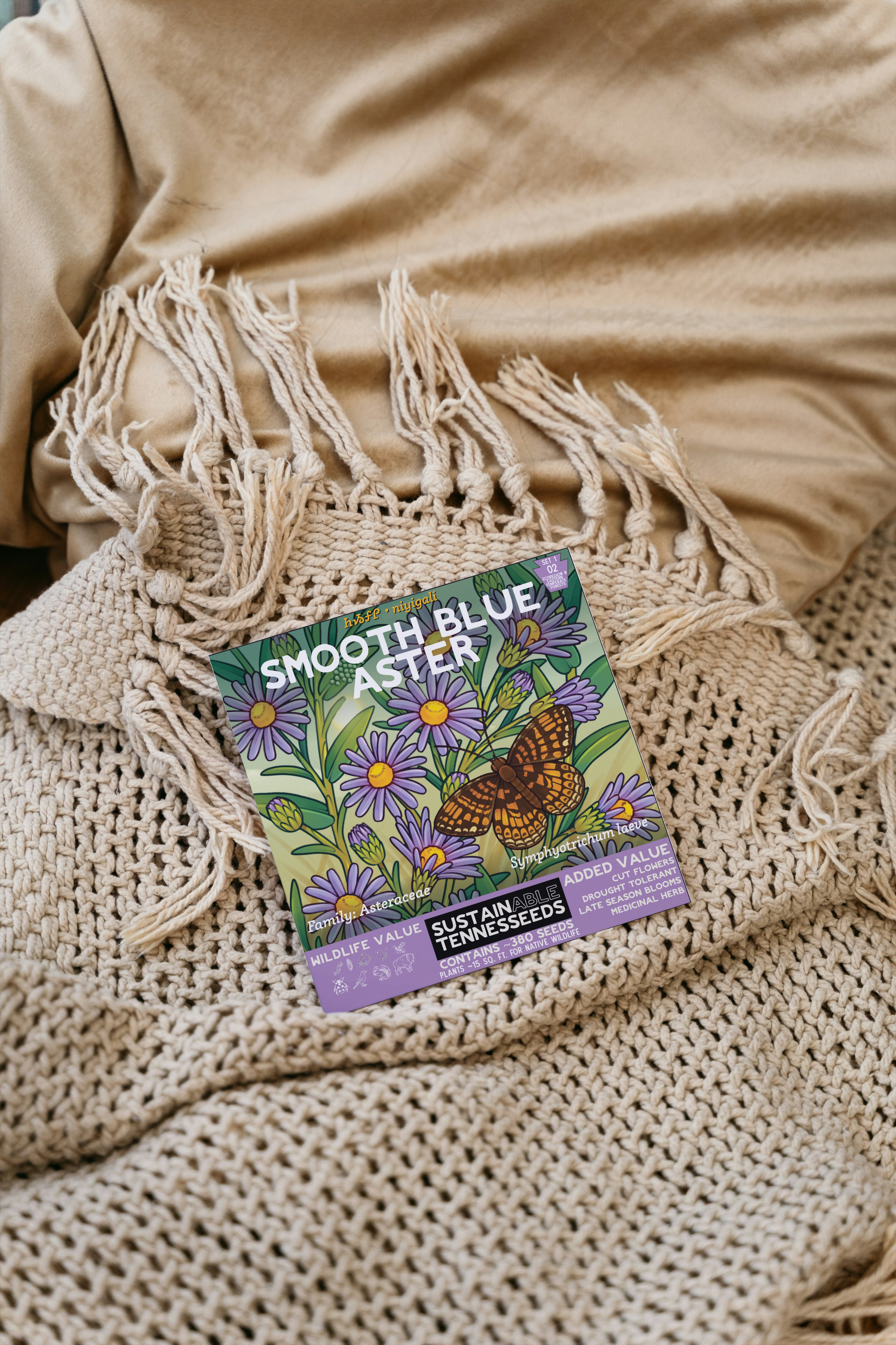 Plant for a Change – Engroshandel Plantefrø – Glathovedet Asters5