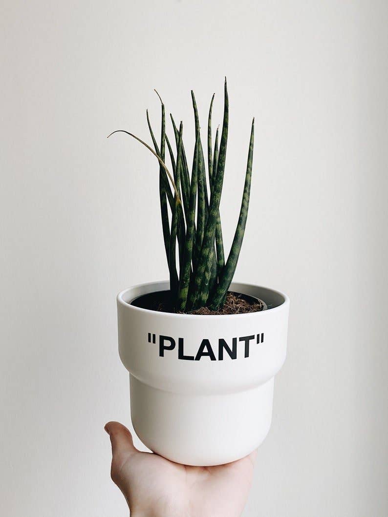 HYPED ART - Wholesale Plant Pot - "Plant" Planter (Medium)1