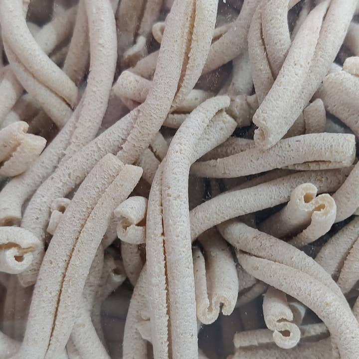 Pastificio del Colle - Wholesale Pasta - Whole Wheat Casereccia