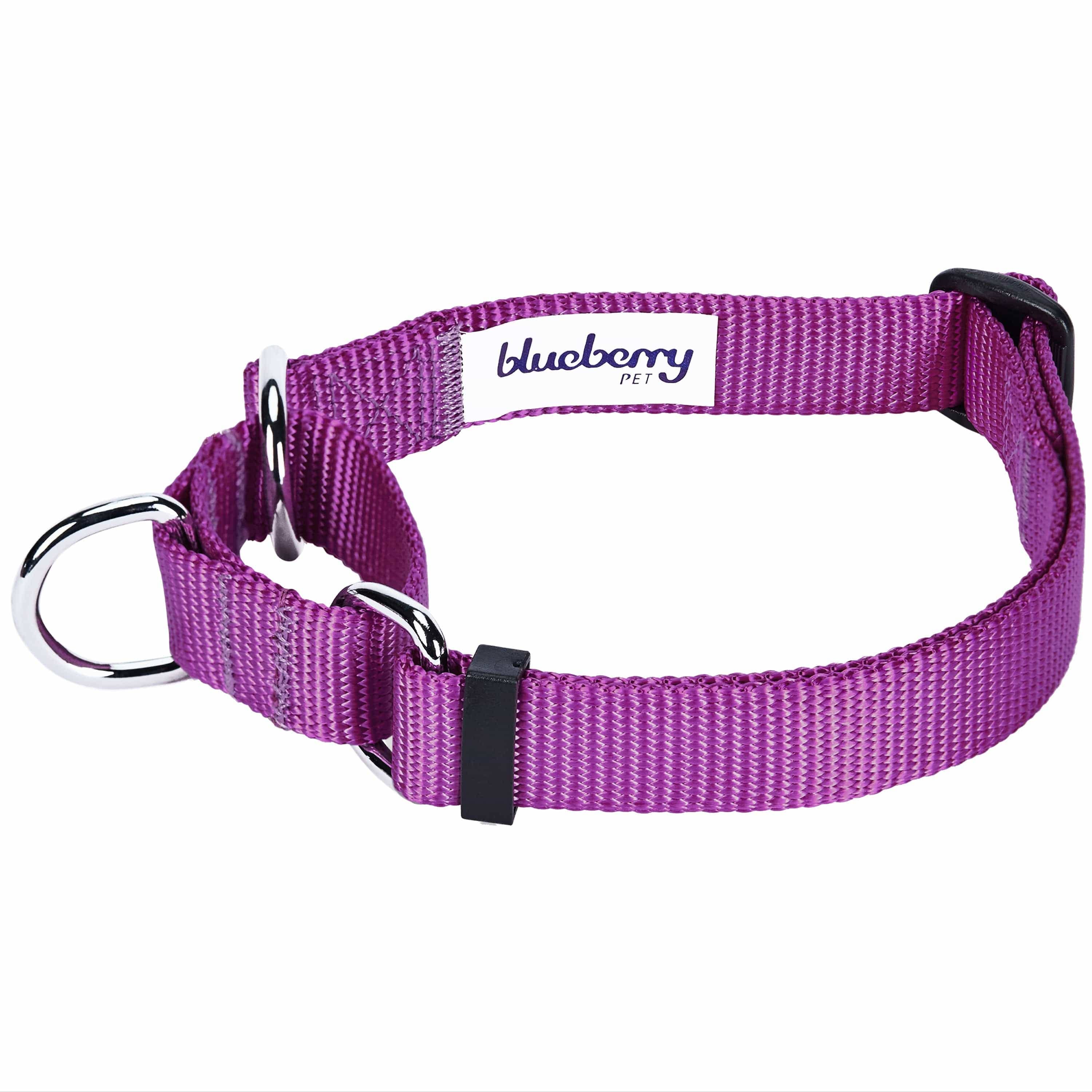 Blueberry Pet – Großhandel Haustierhalsband – Hund – 4 Farben, Klassisches Martingale-Hundehalsband1