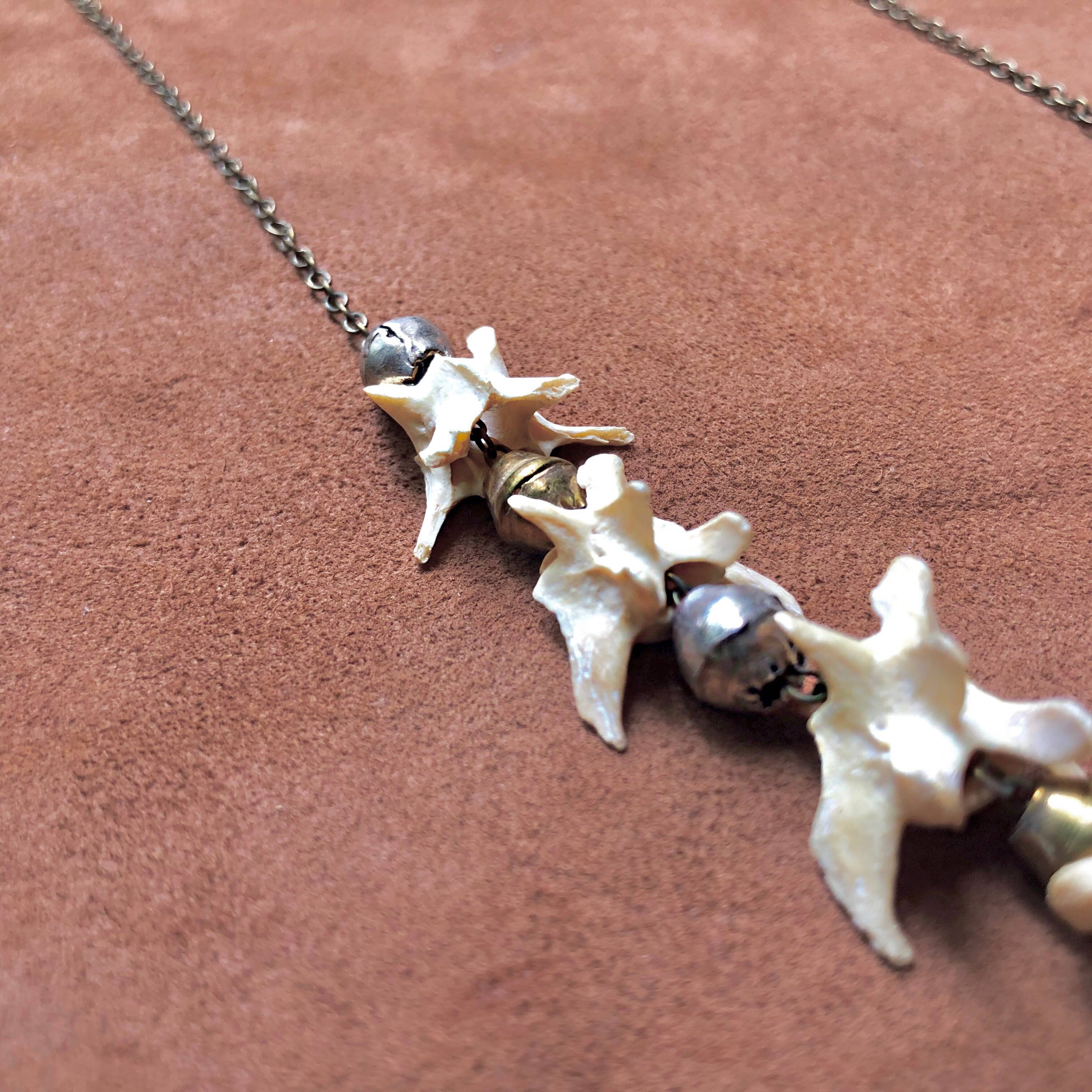 ASTALI - Wholesale Beaded/Pearl Necklace - Weasel Vertebrae Necklace, Real Bone Necklace, Taxidermy2
