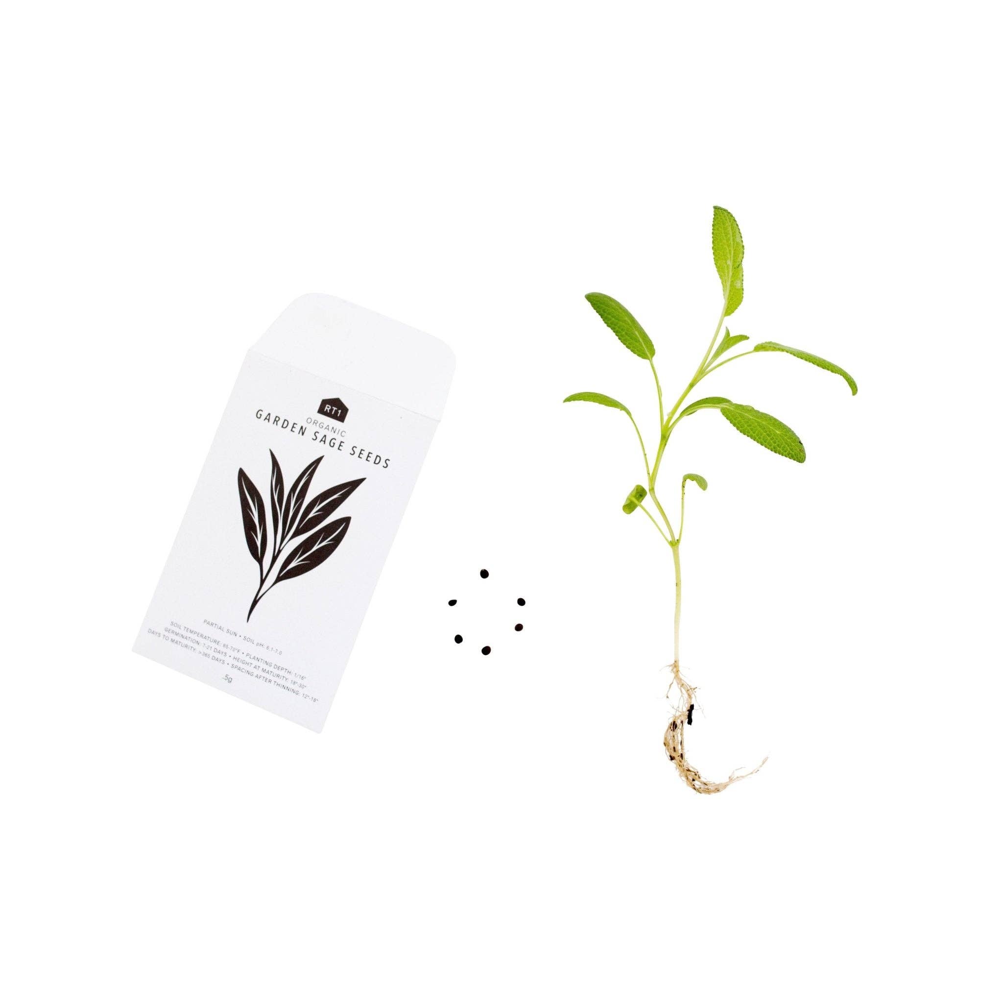 RT1home – wholesale Frön – ÖRTFRÖN - 1 PACK39