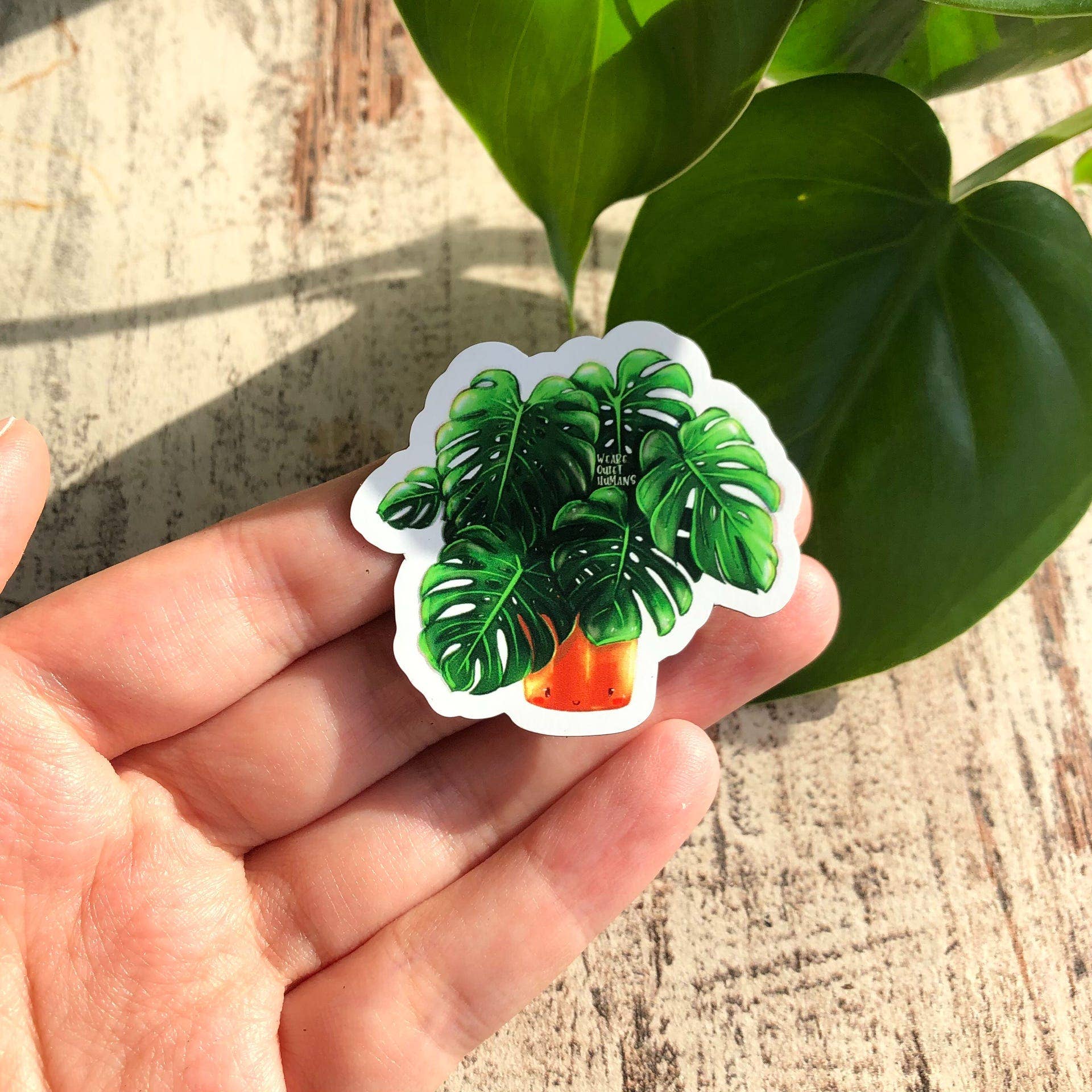 plantyintroverts - Wholesale Magnet - Magnet - Monstera Deliciosa, Plantlover, Plants, Plantlady2