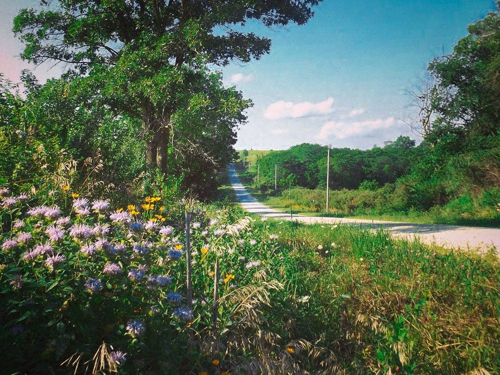 Marissa Kay Co - Wholesale Gewone wenskaart - Plantbare zaadkaart || Zero Waste || Ondersteunt vrouwen J228