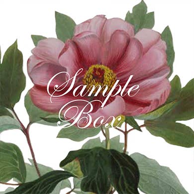 SCATOLA CAMPIONE per la vendita all'ingrosso da parte di Graybill & Downs