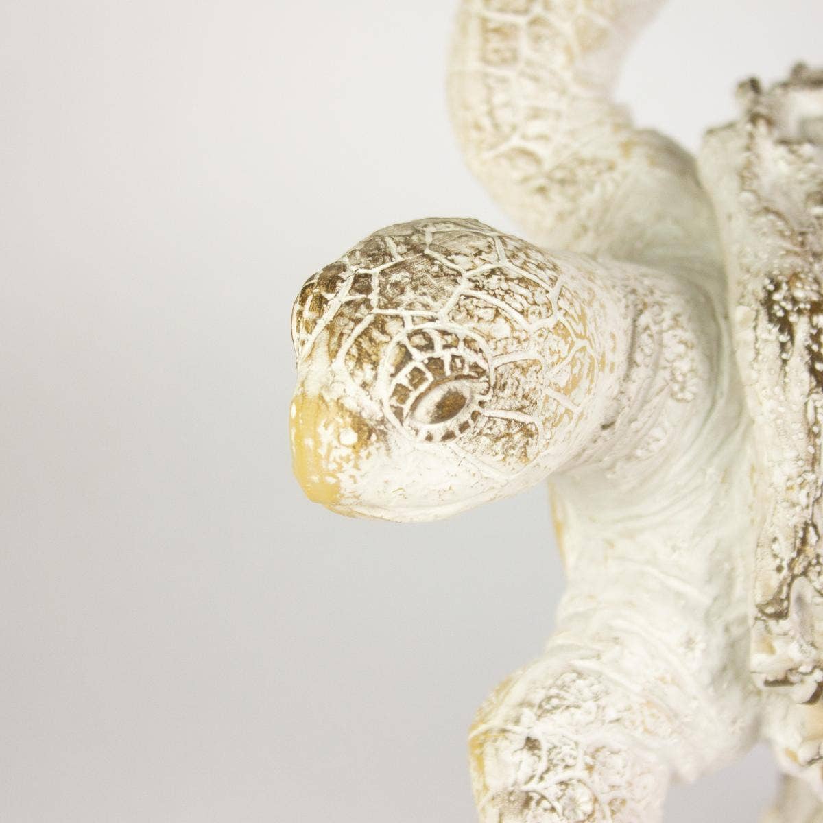 Nauticalia – wholesale Ornament – Coral Creatures - Turtle, 26cm3