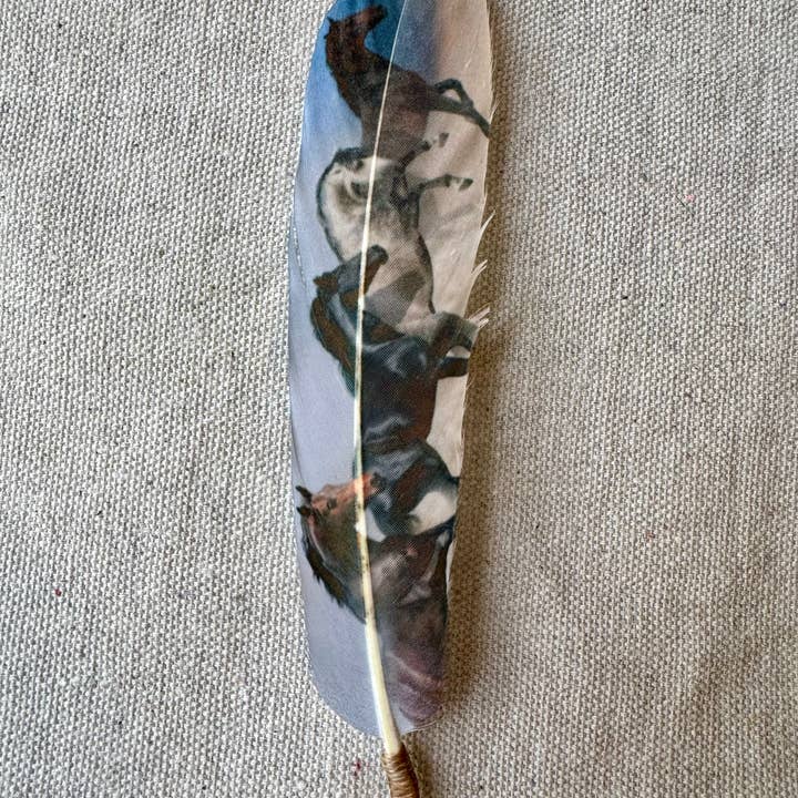 Buckaroo Supply Company - Wholesale Hat Accessory - Men's - Two Tone Wild Horses Hat Feather - Western Hat Accessory