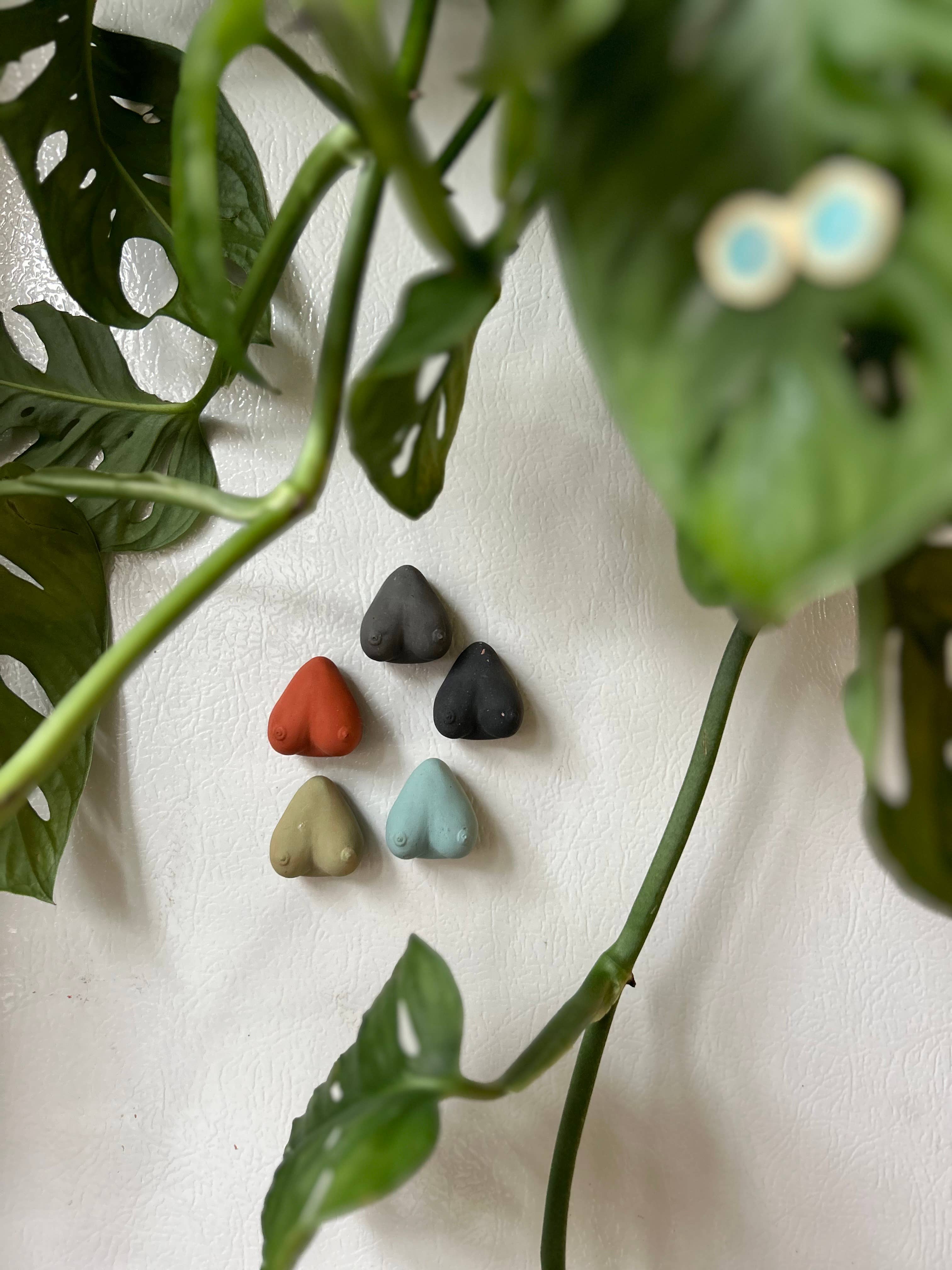 Queen City Crete - Vendita all'ingrosso Calamite - Magneti Boob 5