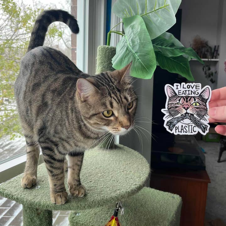 Morganite Press - Wholesale Sticker - I Love Eating Plastic Cat Sticker2