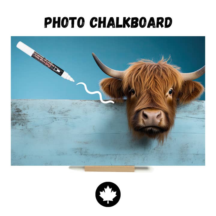 Blue Highland Cow - Jeannie B Photo Chalkboard for wholesale by JEANNIE B