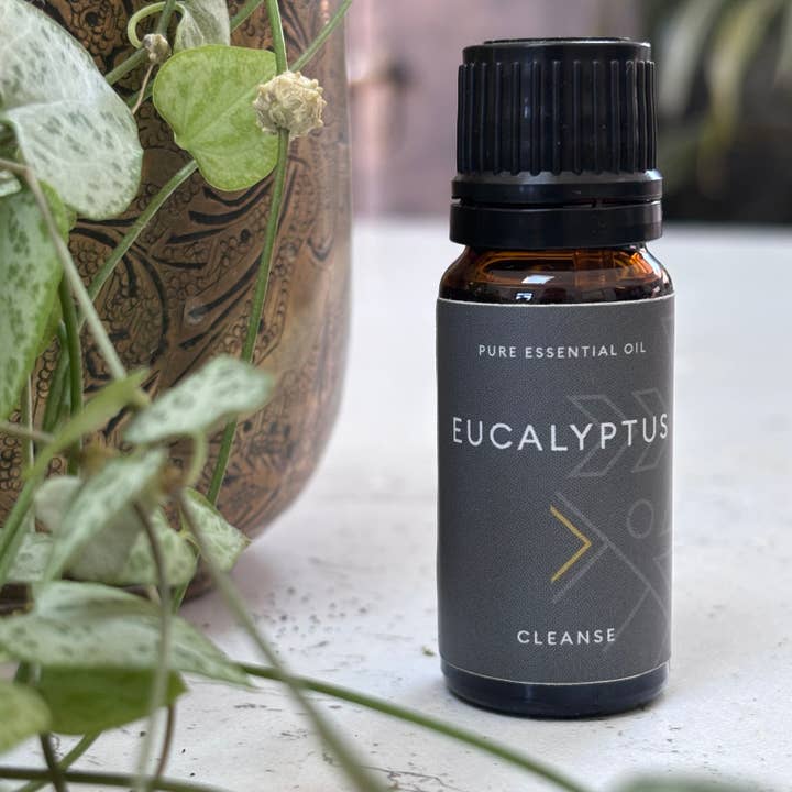 Eucalyptus essential oil for wholesale by reste