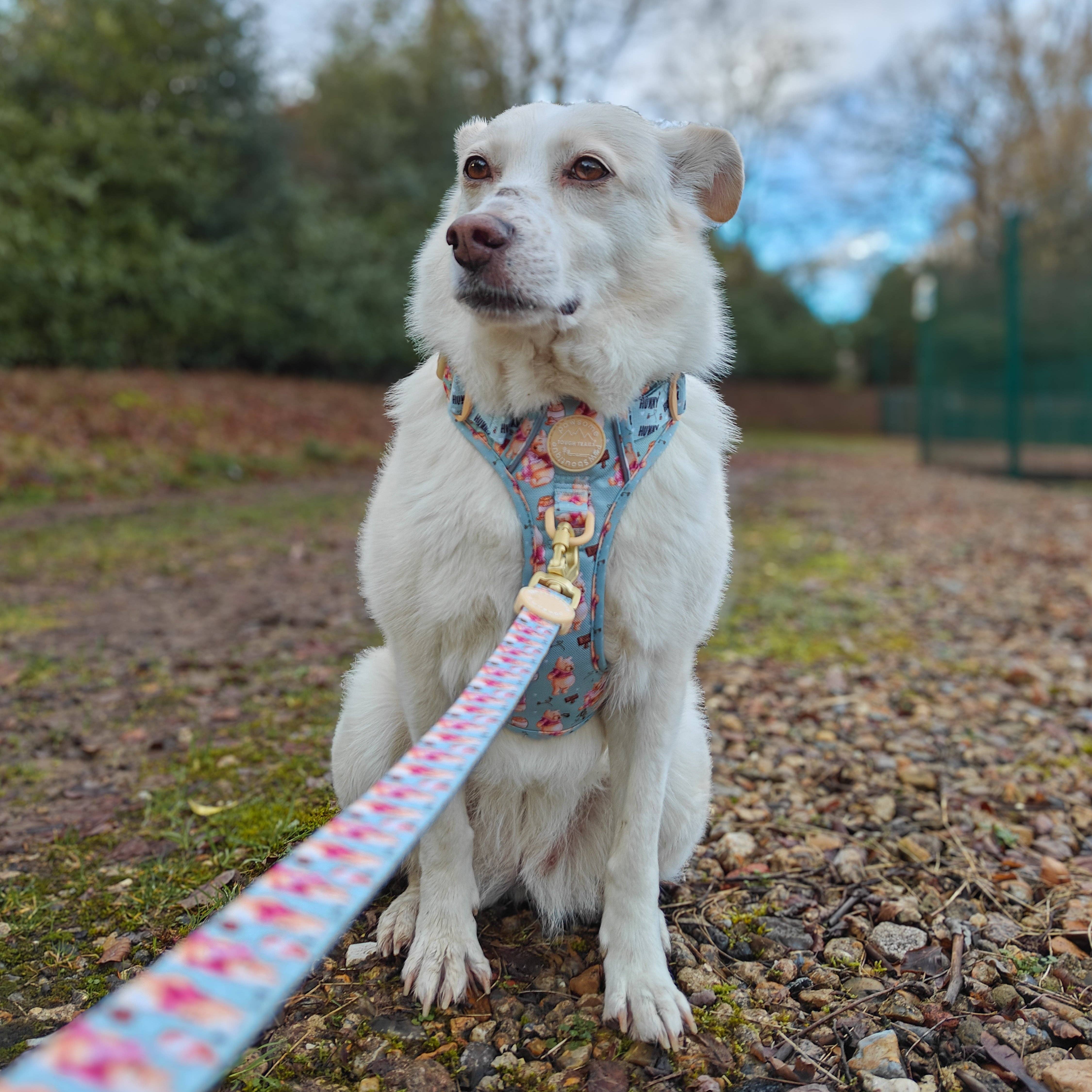 Pawsome Paws - Wholesale Pet Leash - Dog - Disney© Lead - Winnie the Pooh8