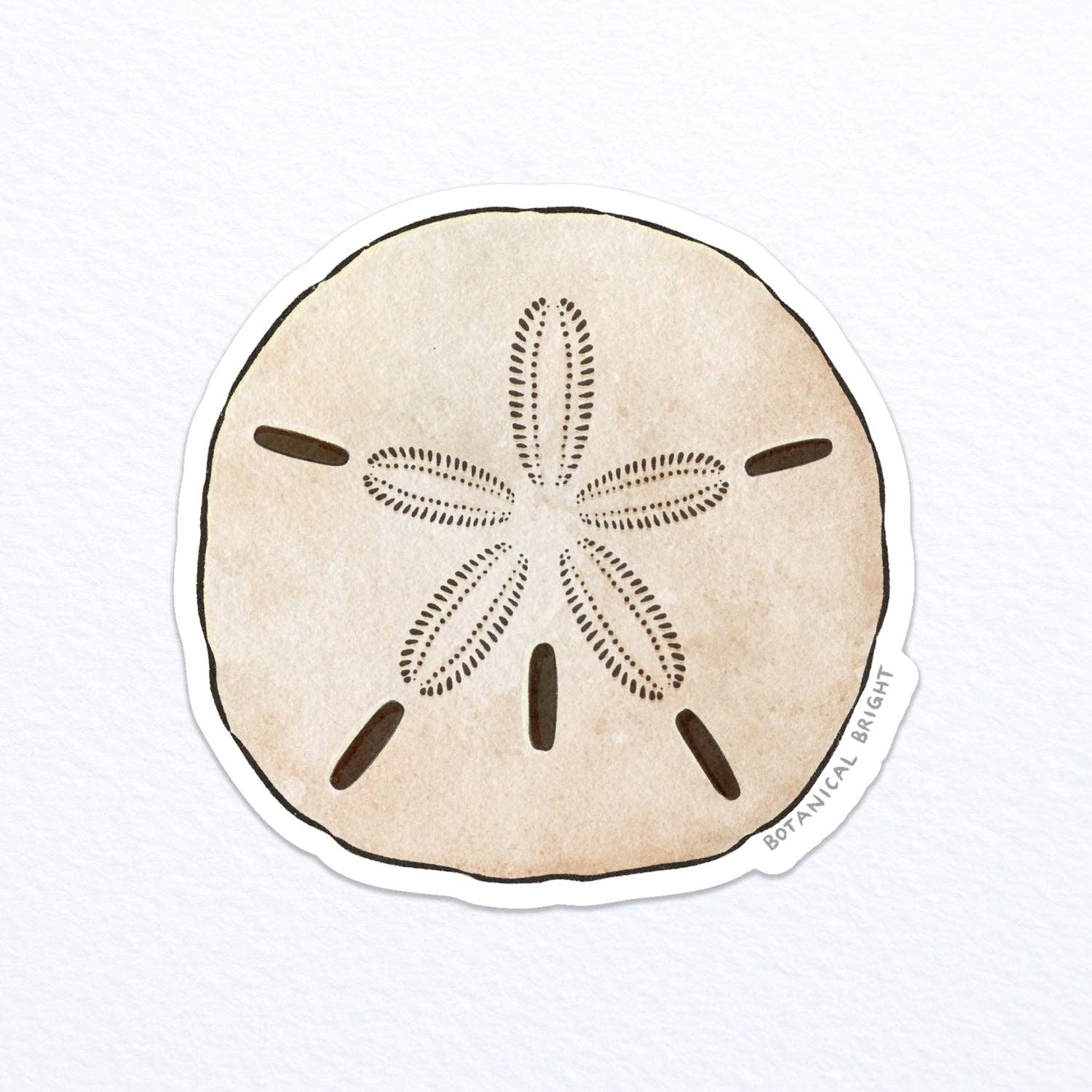 Botanical Bright - Wholesale Sticker - Sand Dollar Waterproof Vinyl Sticker0
