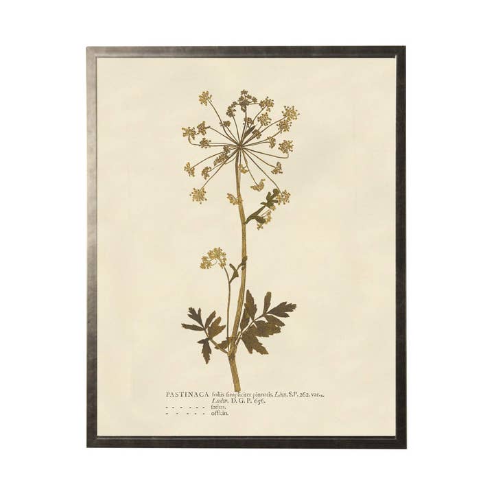 Vintage Neutral Flower Art On Ivory Background for wholesale by Antique Curiosities Inc