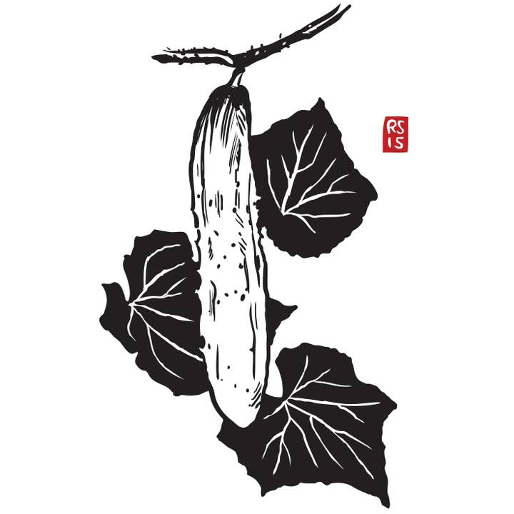 RFM-534 Japanese Cucumber Art Print for wholesale by Rigel Paper