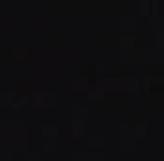 NLT - Wholesale Blouse - Women's - Stevie Top4