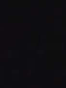 NLT - Wholesale Blouse - Women's - Stevie Top4