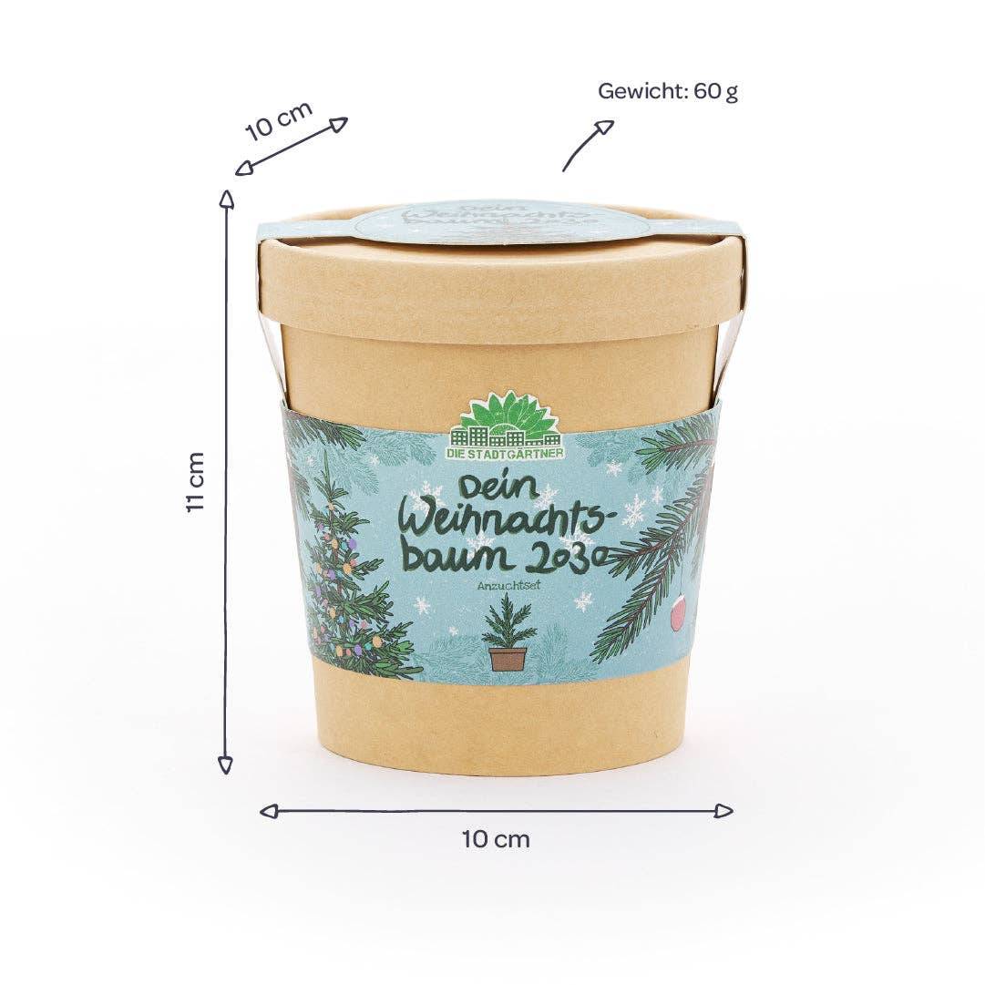 TDJ Stadtgärtner GmbH – Engroshandel Julepynt – Juletræ i kop - dyrkningssæt til dit juletræ 20303
