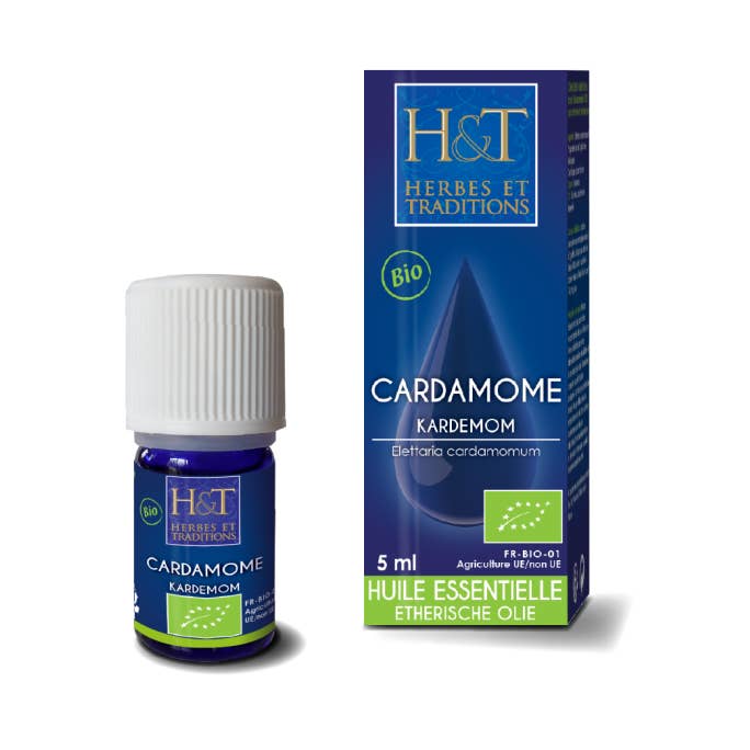 Cardamom (Elettaria cardamomum) Organic Essential Oil - 5 ml - Herbs & traditions for wholesale by Ecohesens