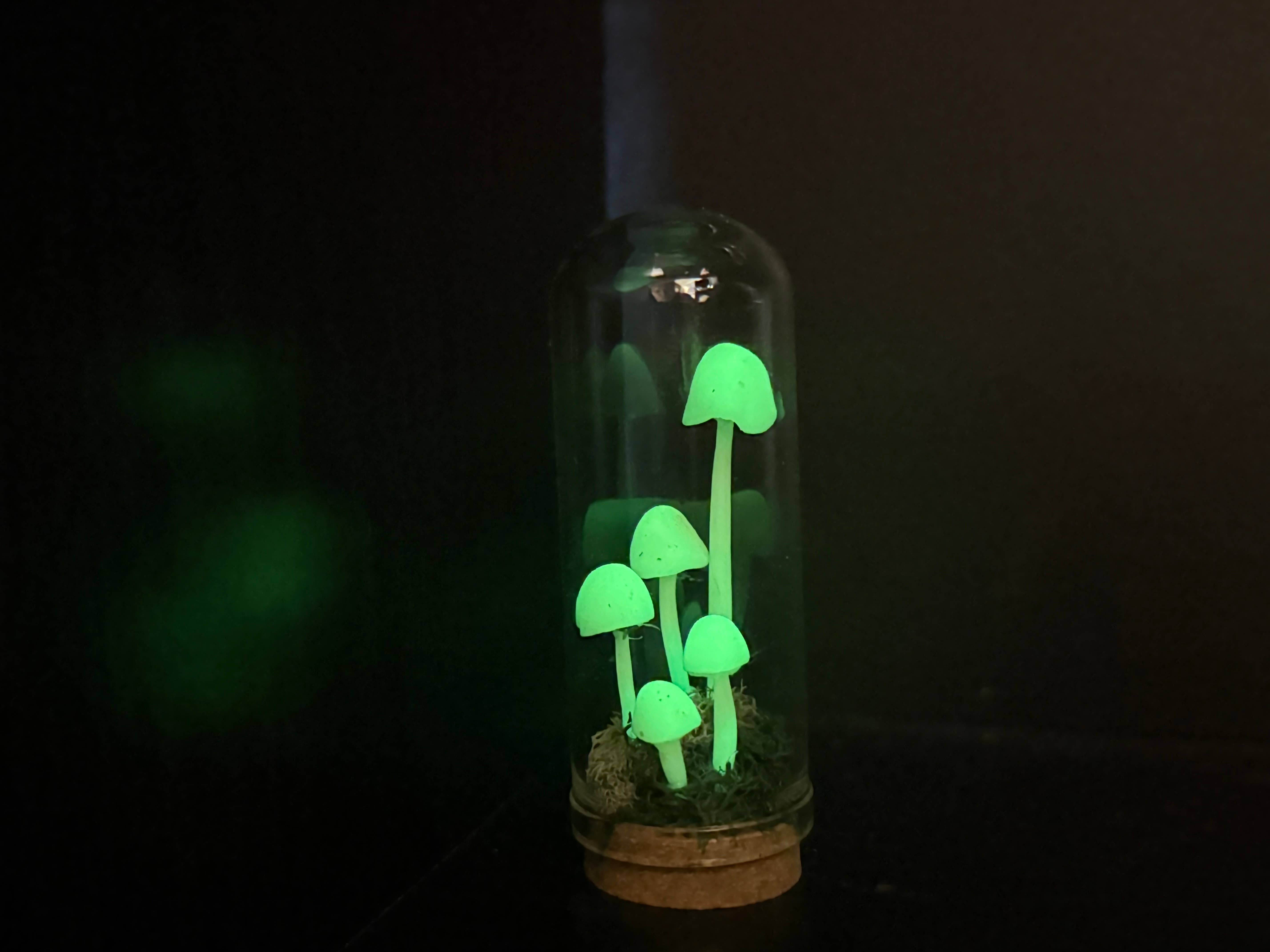 Leafy Ann Art - Wholesale Sculpture - Mushrooms glow mushroom terrarium6