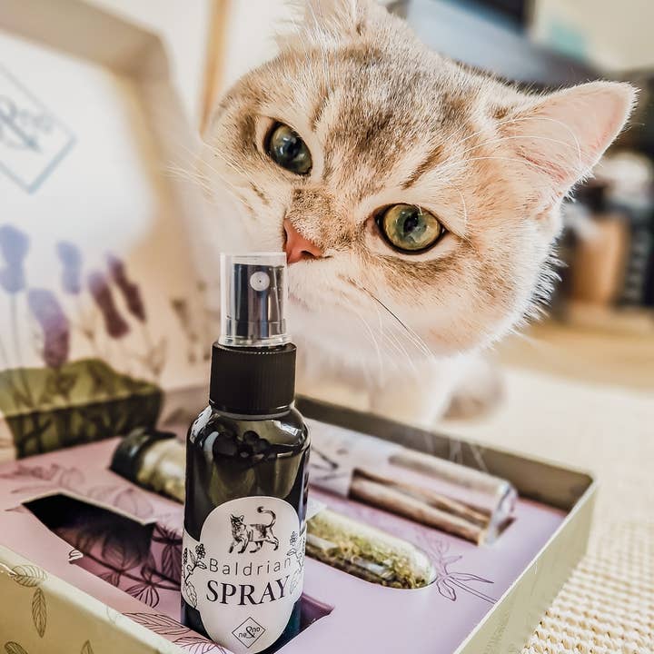 ne&no - Venta al por mayor Catnip - ne&no® Spray de valeriana para gatos - Set de 2