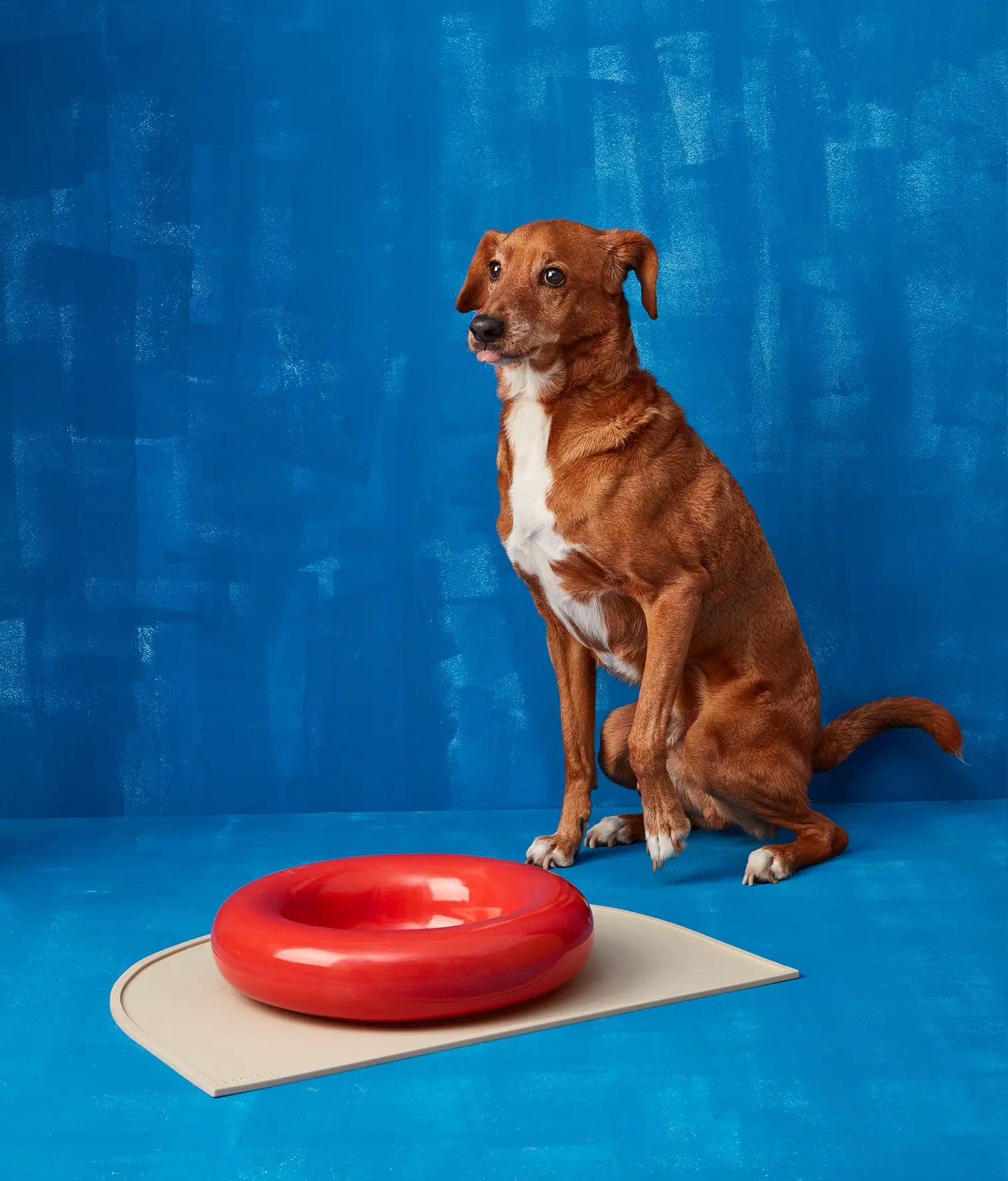 HotDog Pets - Wholesale Pet Bowl - Cat/Dog - Brown ceramic dog feeder20