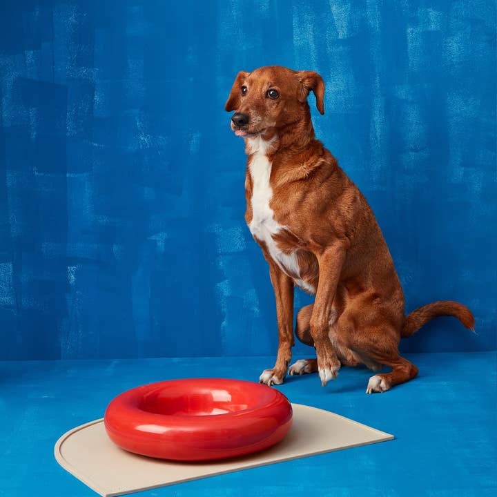 HotDog Pets - Wholesale Pet Bowl - Cat/Dog - Brown ceramic dog feeder20