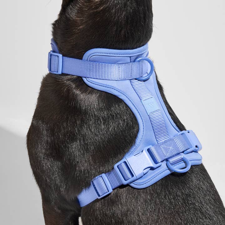 Wild One - Wholesale Pet Harness - Dog - Adjustable Comfort Dog Harness