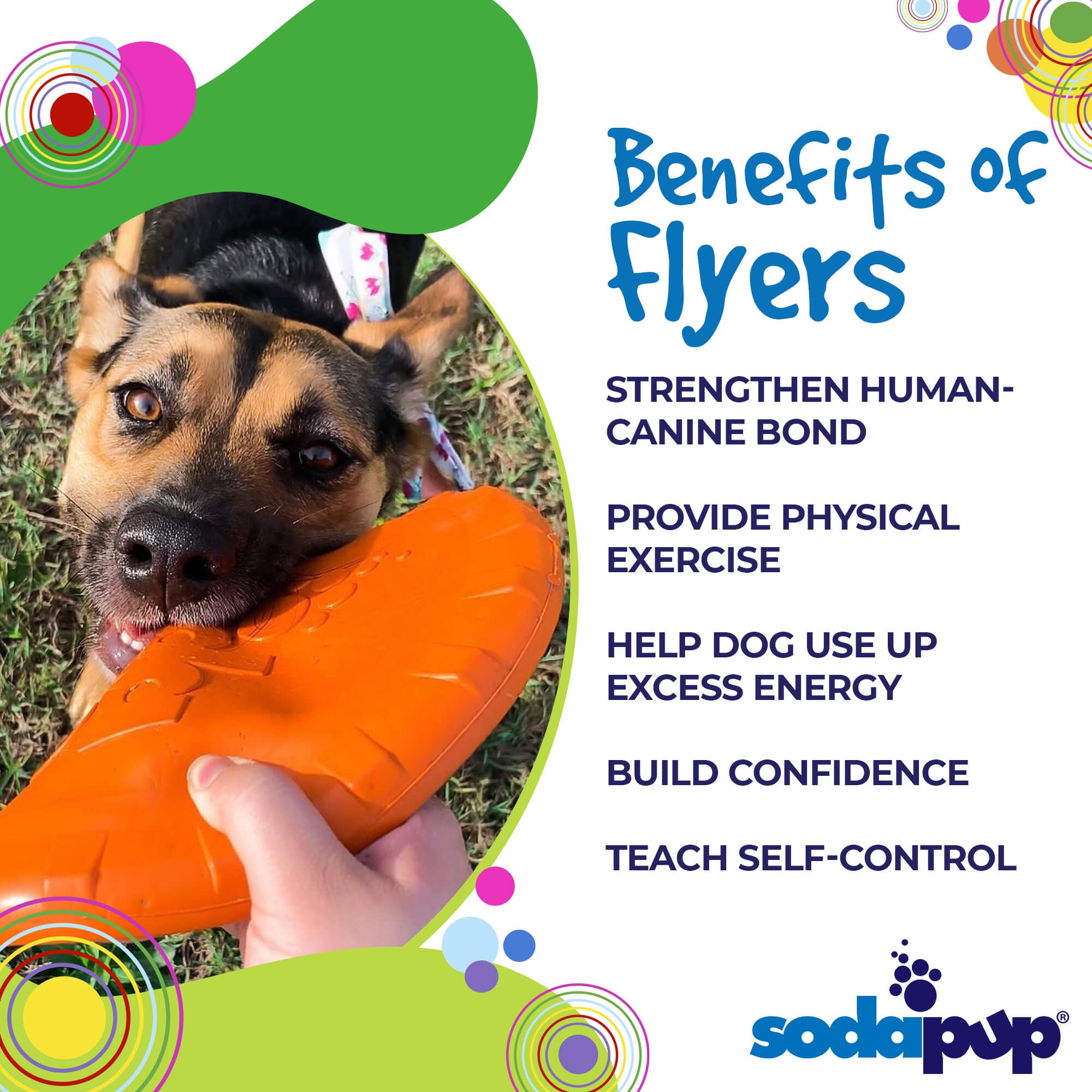 SodaPup Dog Toys - Wholesale Pet Fetch Ball - Dog - SP Bottle Top Flyer - Flying Toy - Multiple sizes - orange2