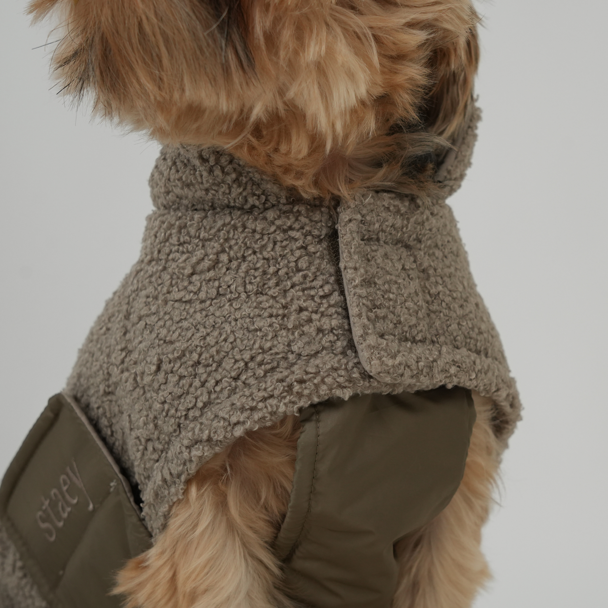 Staey – wholesale Hundjacka - Hund – Hundjacka Teddy | Taupe4