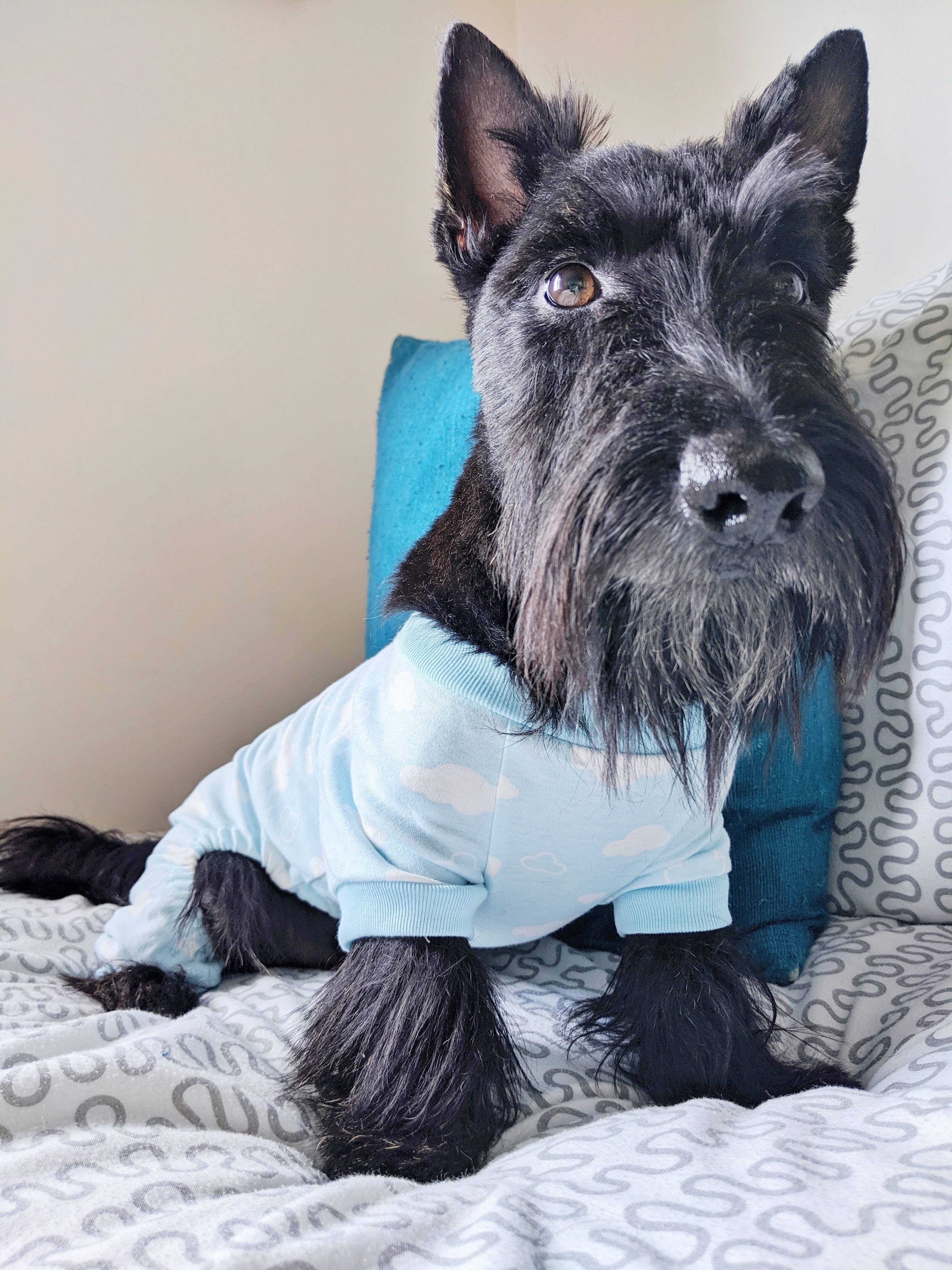 Parisian Pet® - Wholesale Pet Pajamas - Dog - Blue Cloud Pajama – Comfy & Warm Dog Pajamas for Bedtime3