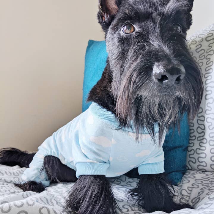 Parisian Pet® - Wholesale Pet Pajamas - Dog - Blue Cloud Pajama – Comfy & Warm Dog Pajamas for Bedtime3