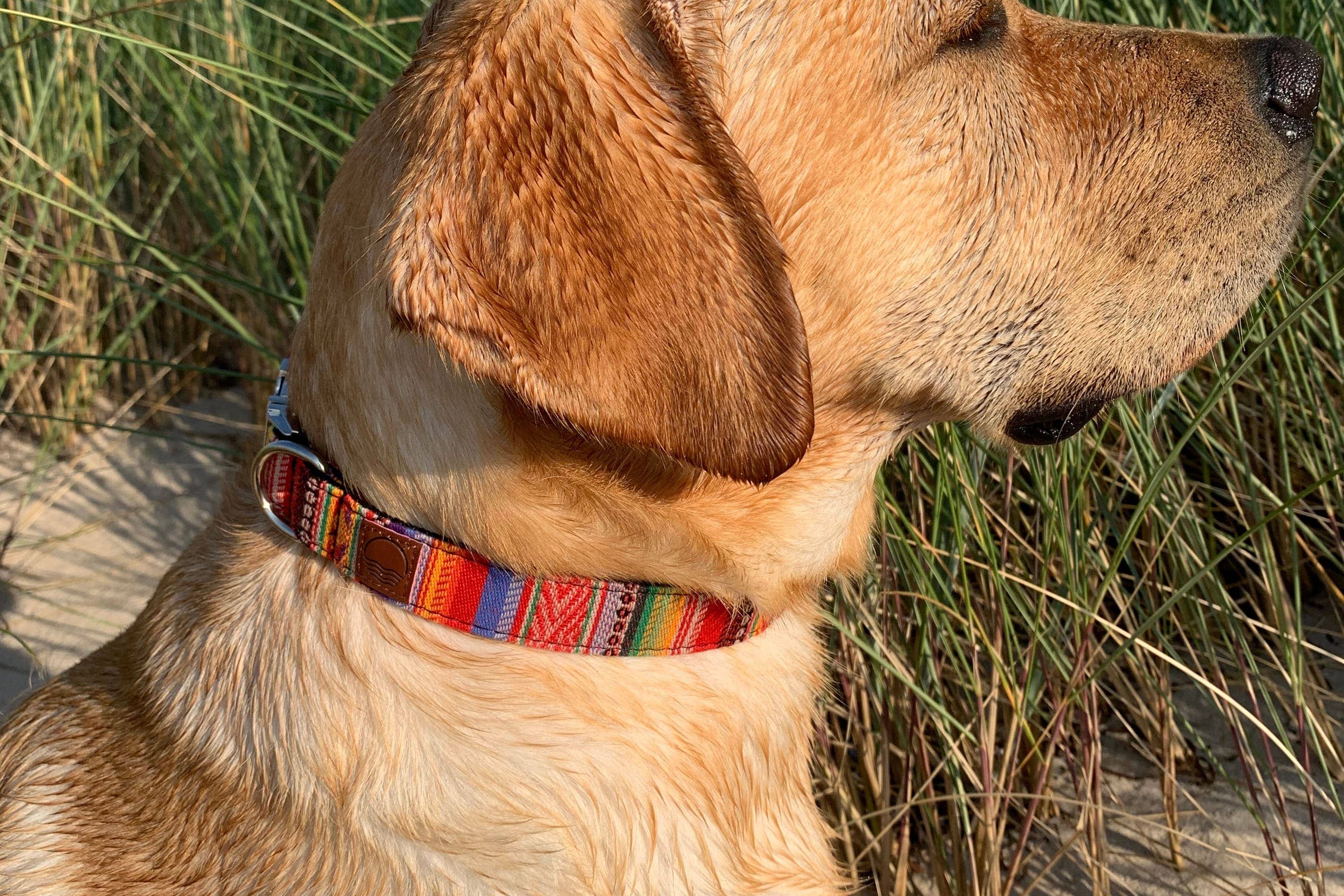 Made By Nami – wholesale Halsband - Hund – Boho halsband för hund – multifärgat