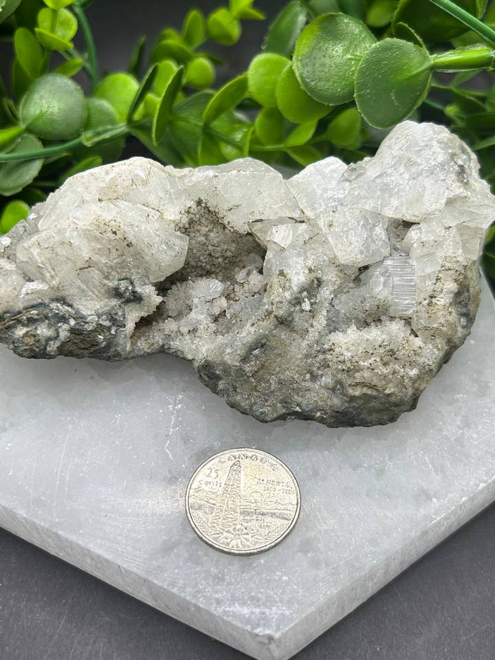 Groupe de zéolite apophyllite (#7) pour la vente par Moonbeam Healing