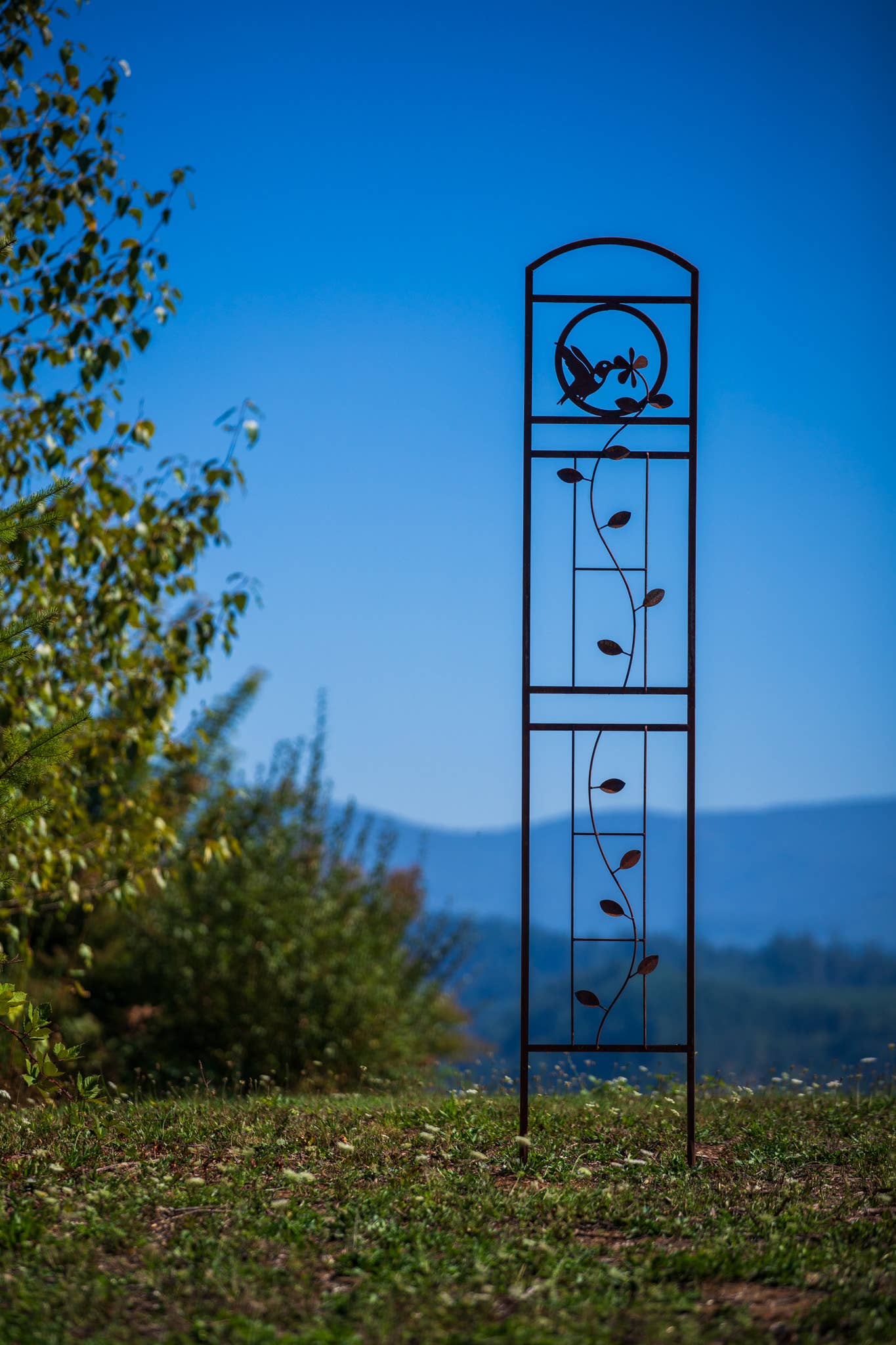 Elegant Garden Design – Engroshandel Udendørs pynt/dekoration – Kolibri Trellis3