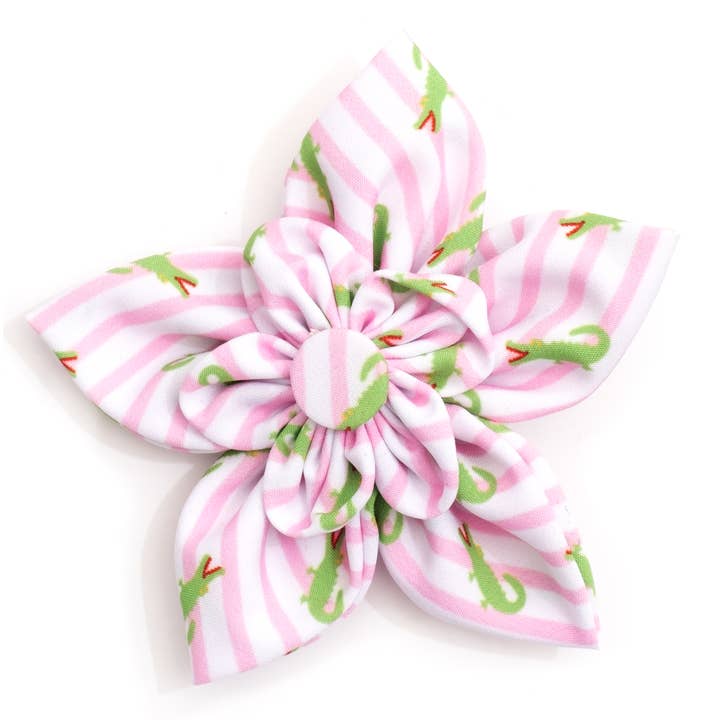 Fiore di alligatore a strisce per la vendita all'ingrosso da parte di The Worthy Dog