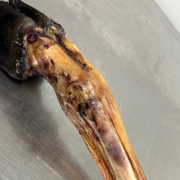 Cow Foot Skinless for wholesale by Tapia raw meats for pet food