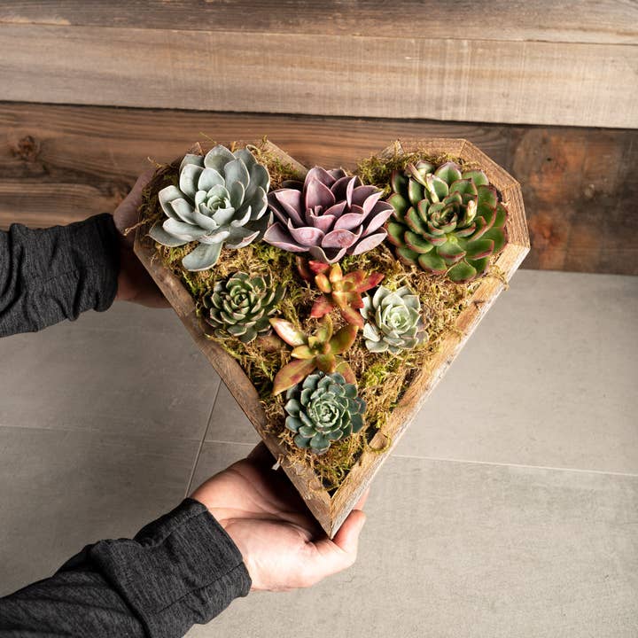 Love Reclaimed - Wholesale Planter Box - Reclaimed Wood Heart Planter / Tray