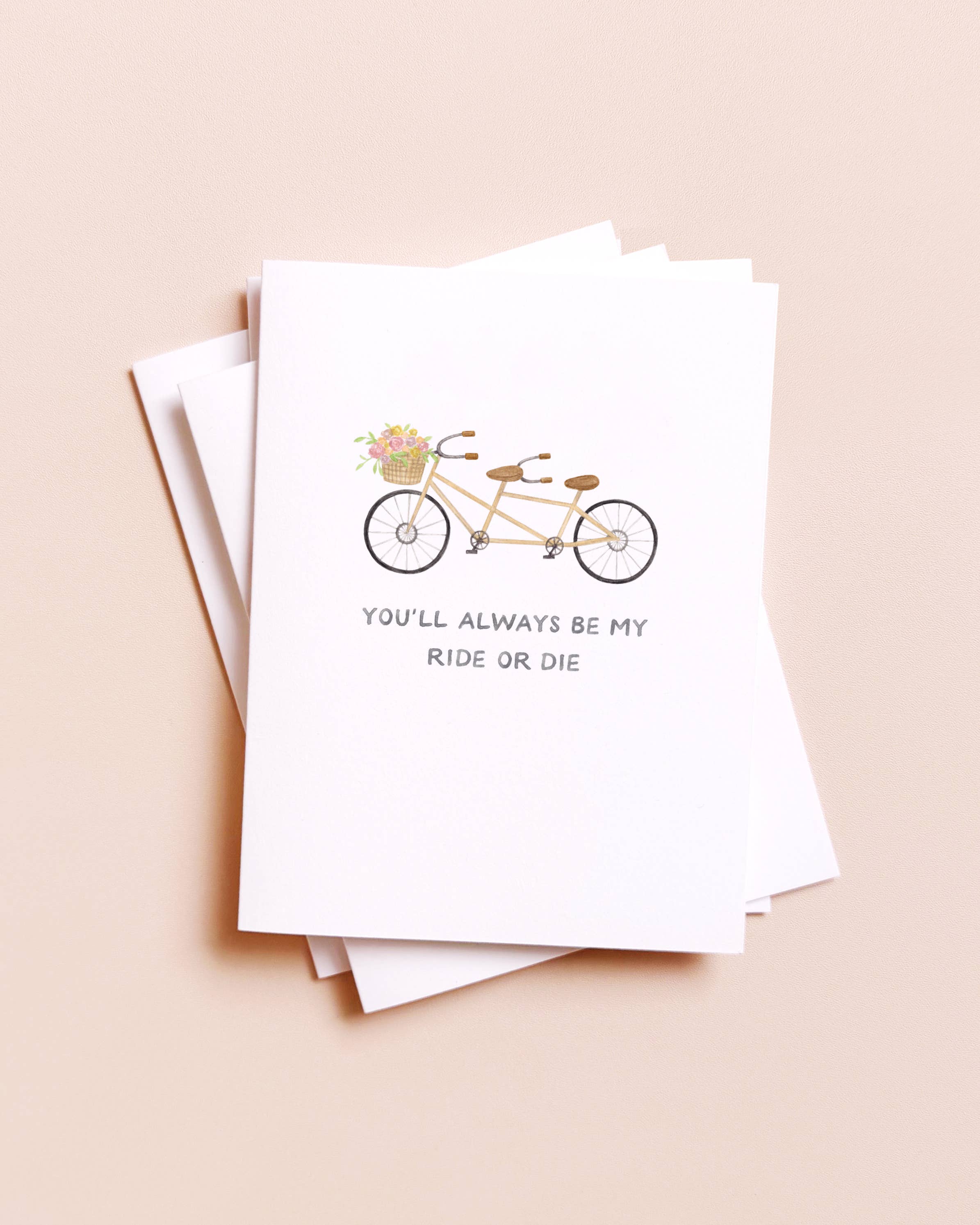 Amy Zhang - Venta al por mayor Tarjetas de amistad - Ride or Die — Divertida tarjeta de amistad para bicicleta tándem