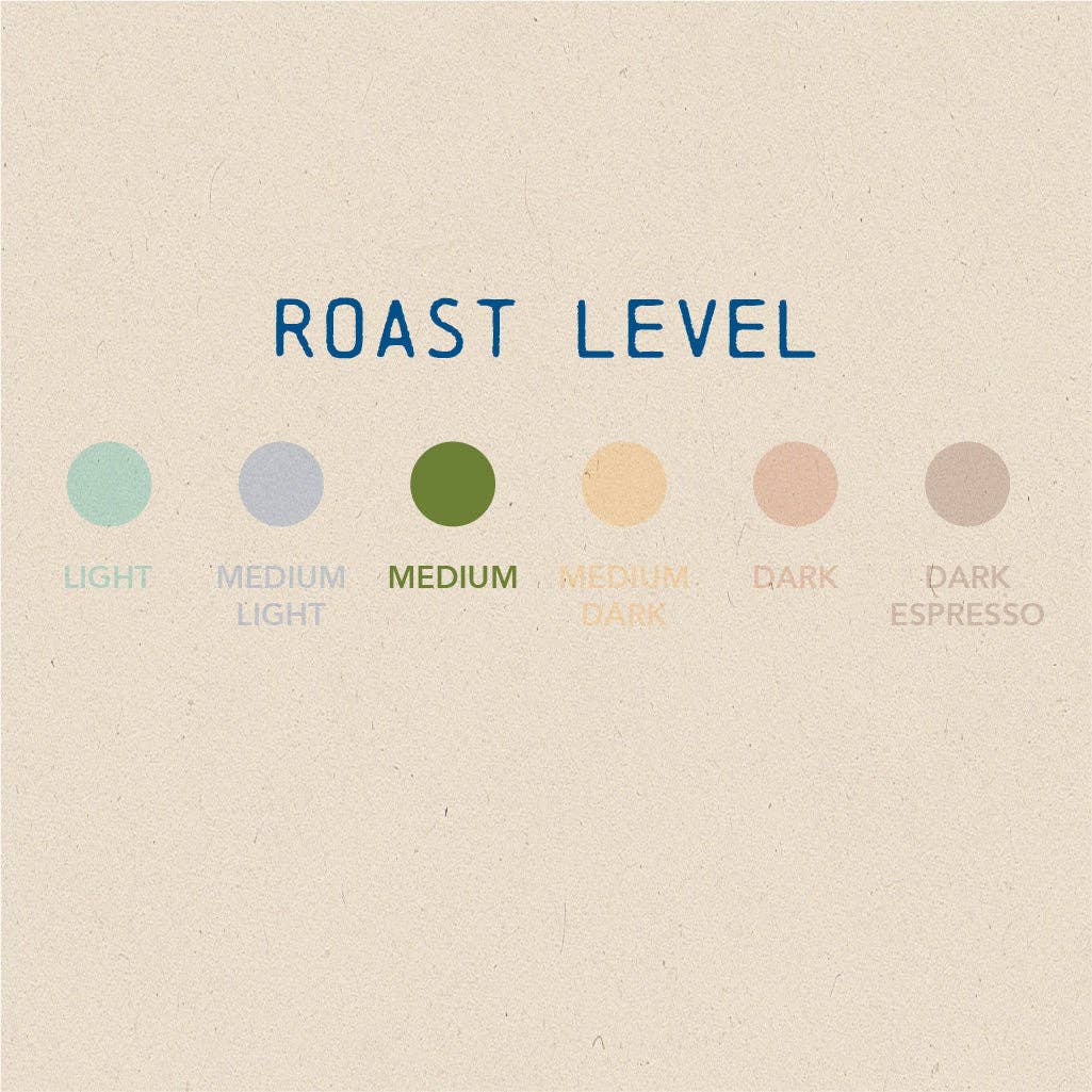 Boarding Pass Coffee - Wholesale Coffee Beans - Fazenda Santana (Brazil) - Medium Roast2