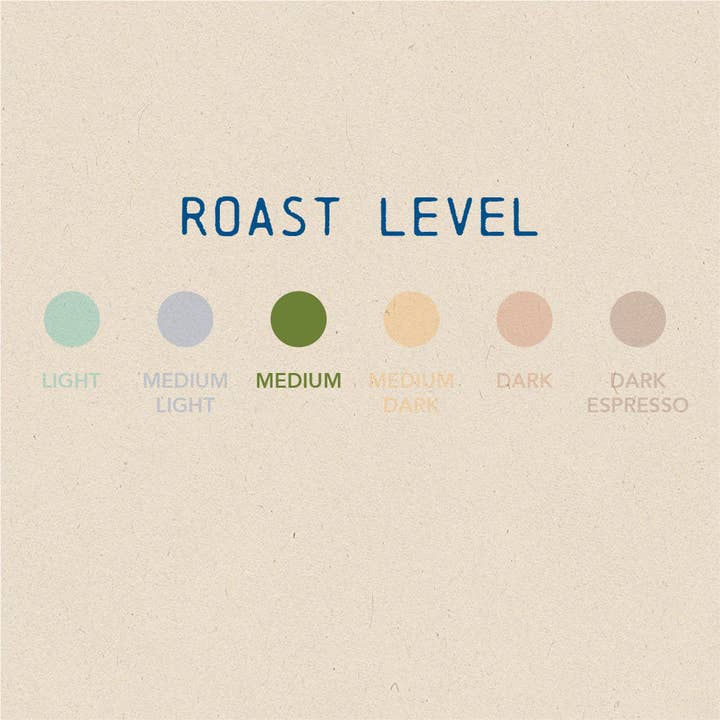 Boarding Pass Coffee - Wholesale Coffee Beans - Fazenda Santana (Brazil) - Medium Roast2