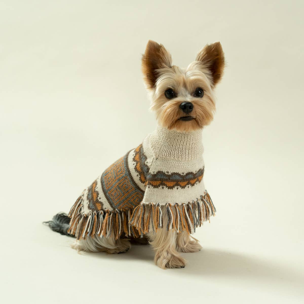 Alqo Wasi - Wholesale Pet Poncho - Dog - Pisac Alpaca Dog Poncho3