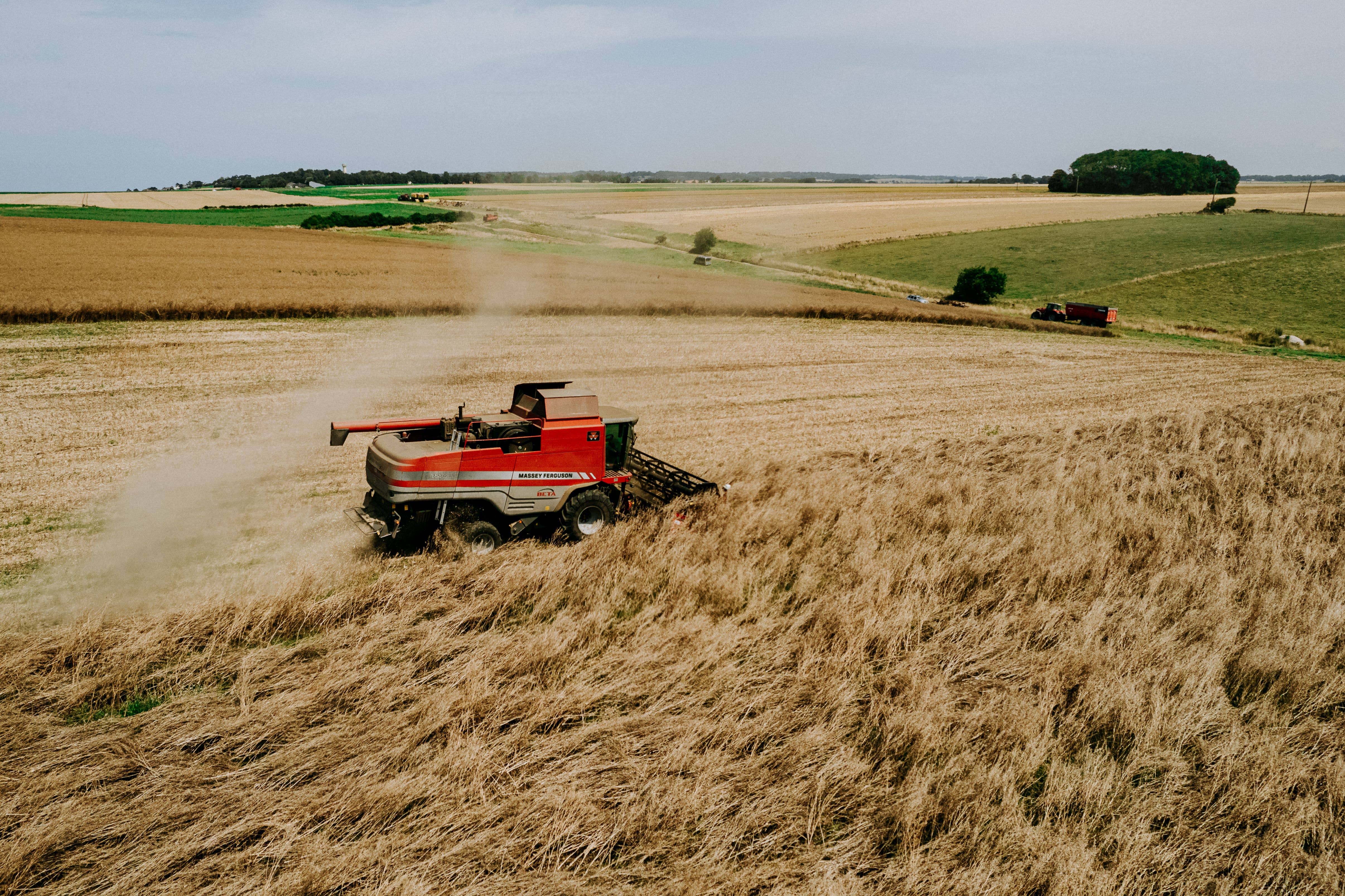 MAISON DUPONT – wholesale Senap – Dupont senap med normandisk honung 105 g5