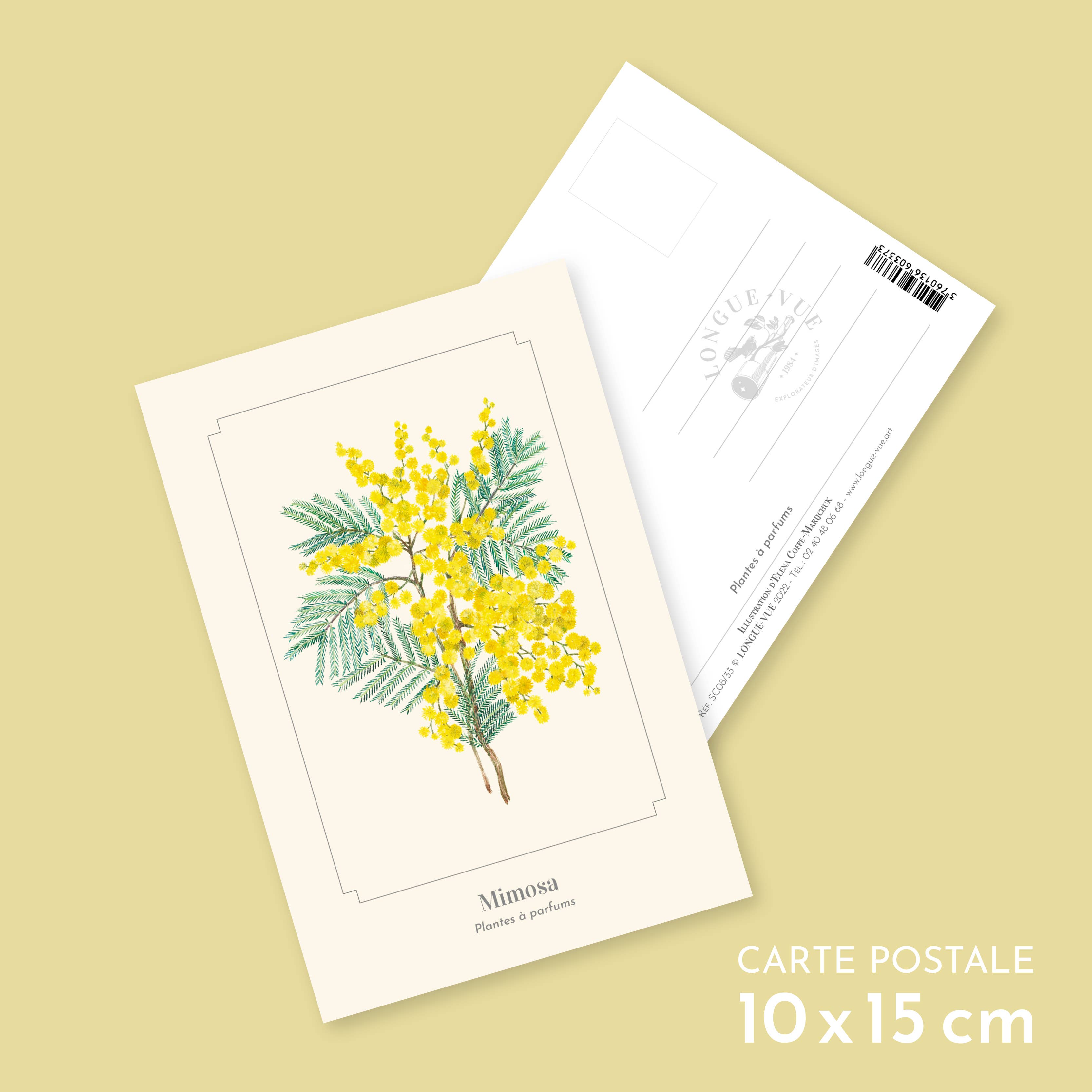 Longue-vue – wholesale Postcard – Mimosa - Postcard0